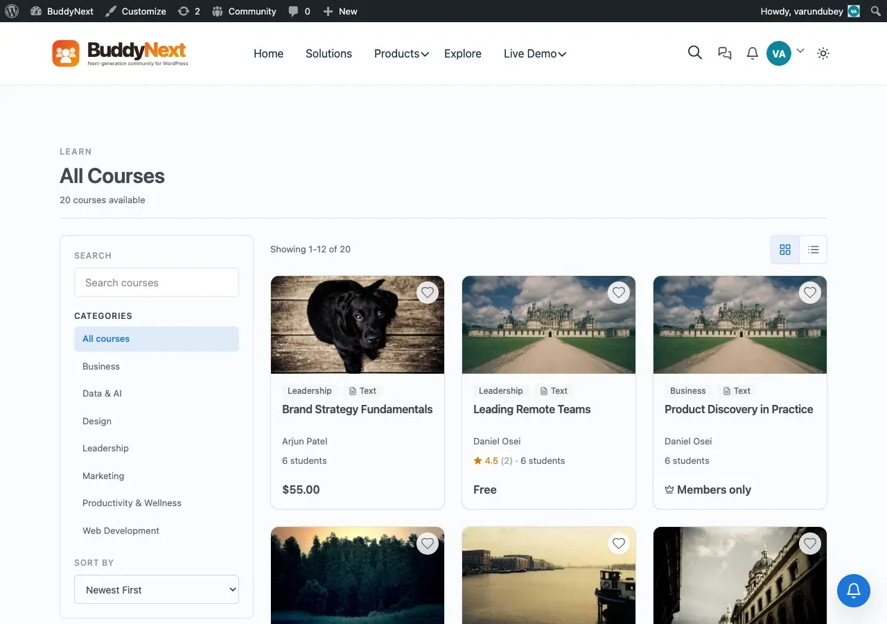 Course catalog styled by BuddyX Pro
