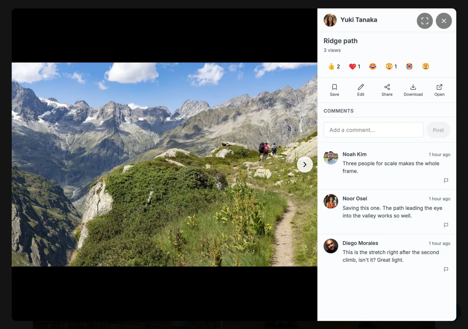 The lightbox with its toolbar: fullscreen and close at the top, Save, Share, Download and Open under the title