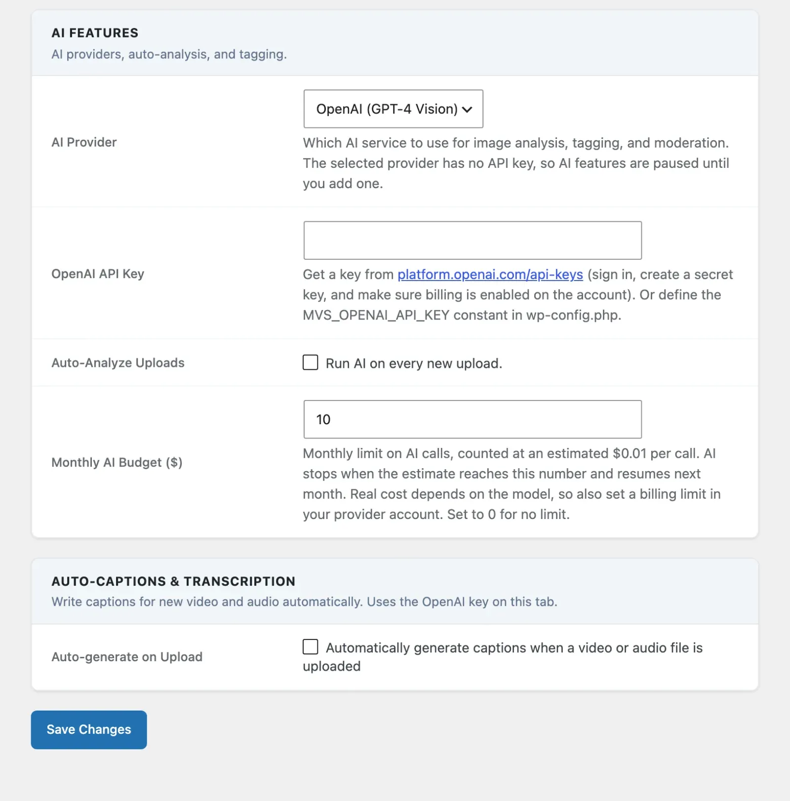 AI settings tab with the provider selector, API key, auto-analyze and monthly budget