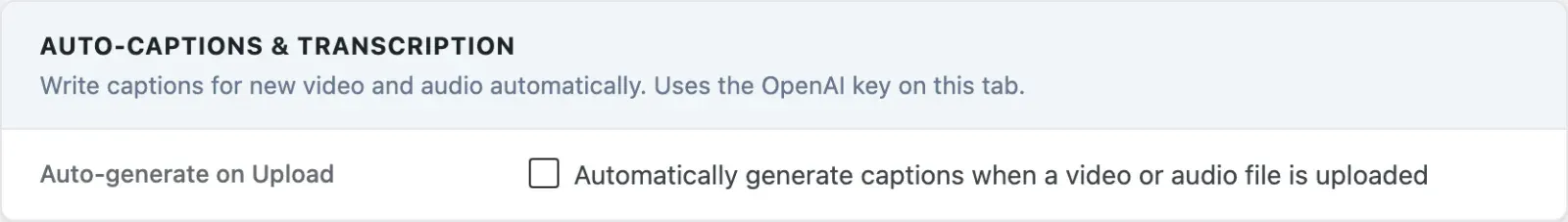 Auto-captions and transcription setting on the AI tab