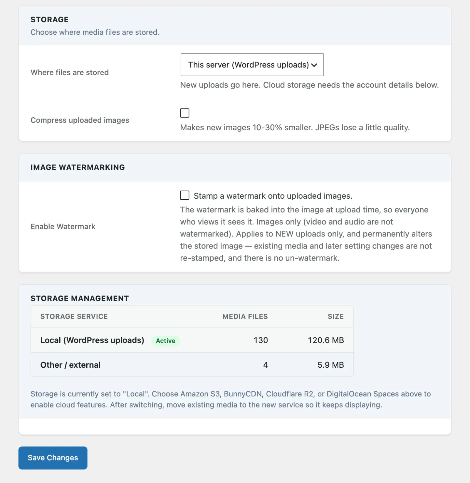 Storage settings tab with the storage location selector, watermarking and storage usage