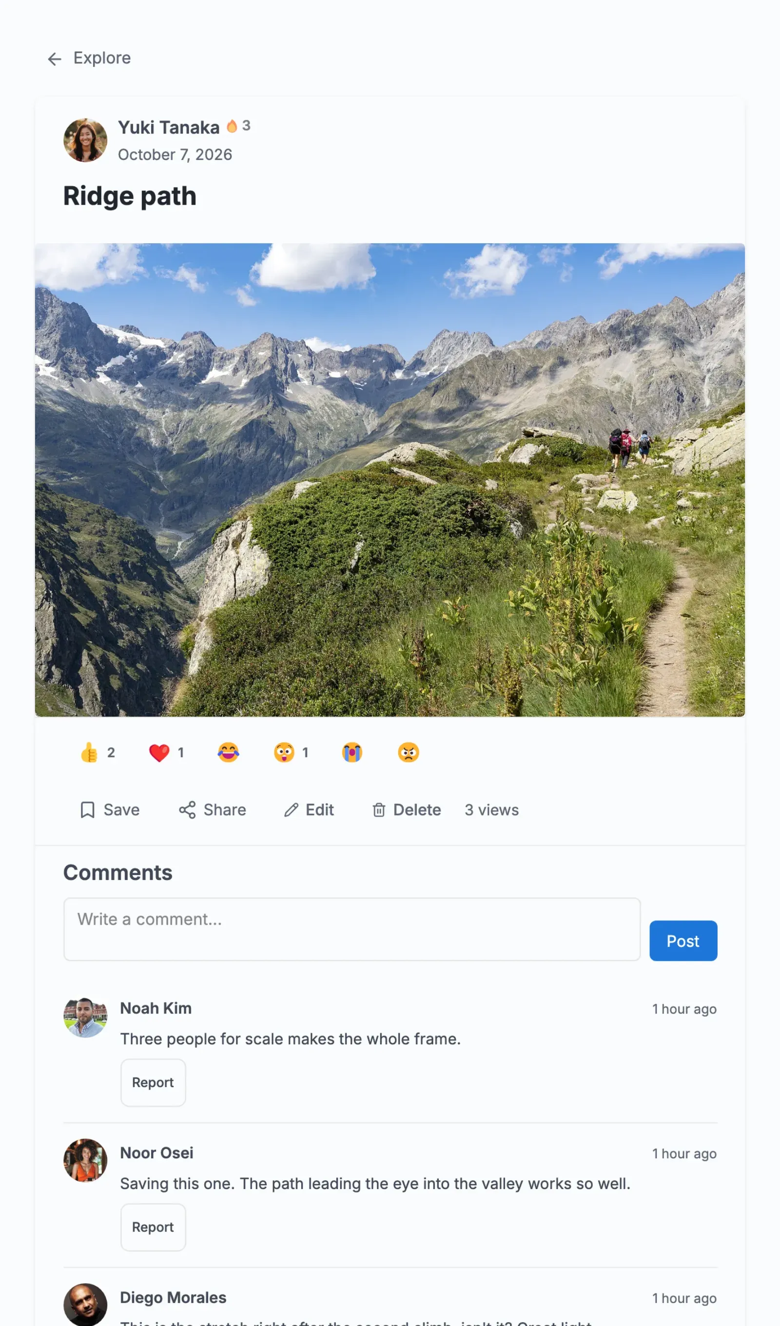 A media page as its owner sees it: the photo, the reaction bar, Save and Share, and the comment box