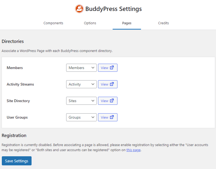 Admin Screen of the BuddyPress Pages panel (Multisite)