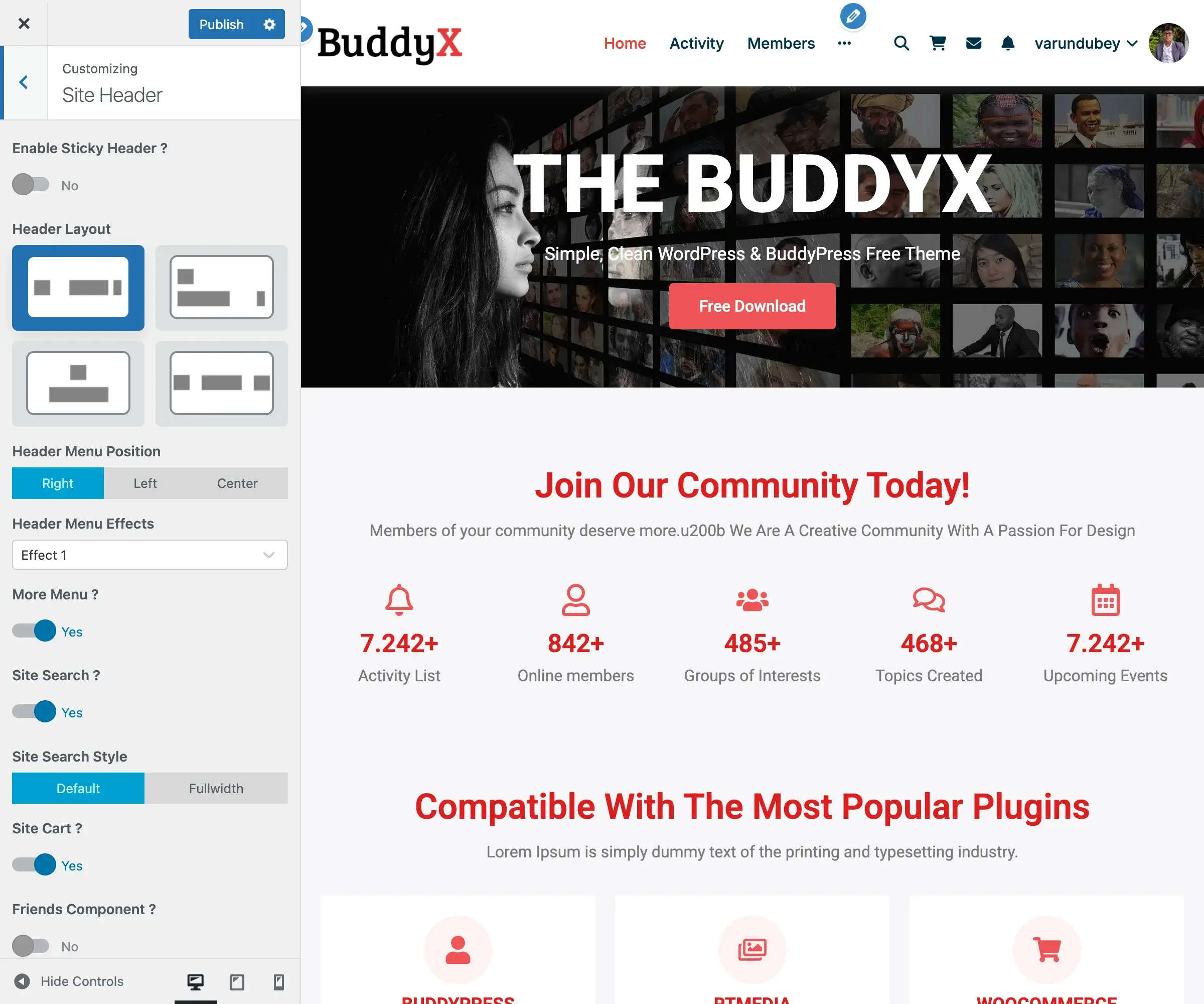 Site Header Panel