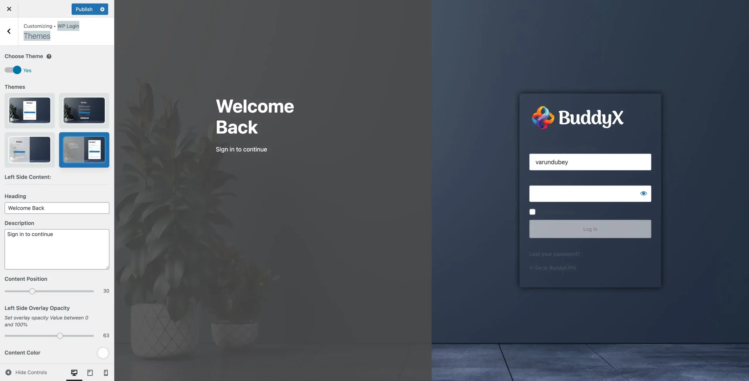 WP Login Split View Theme