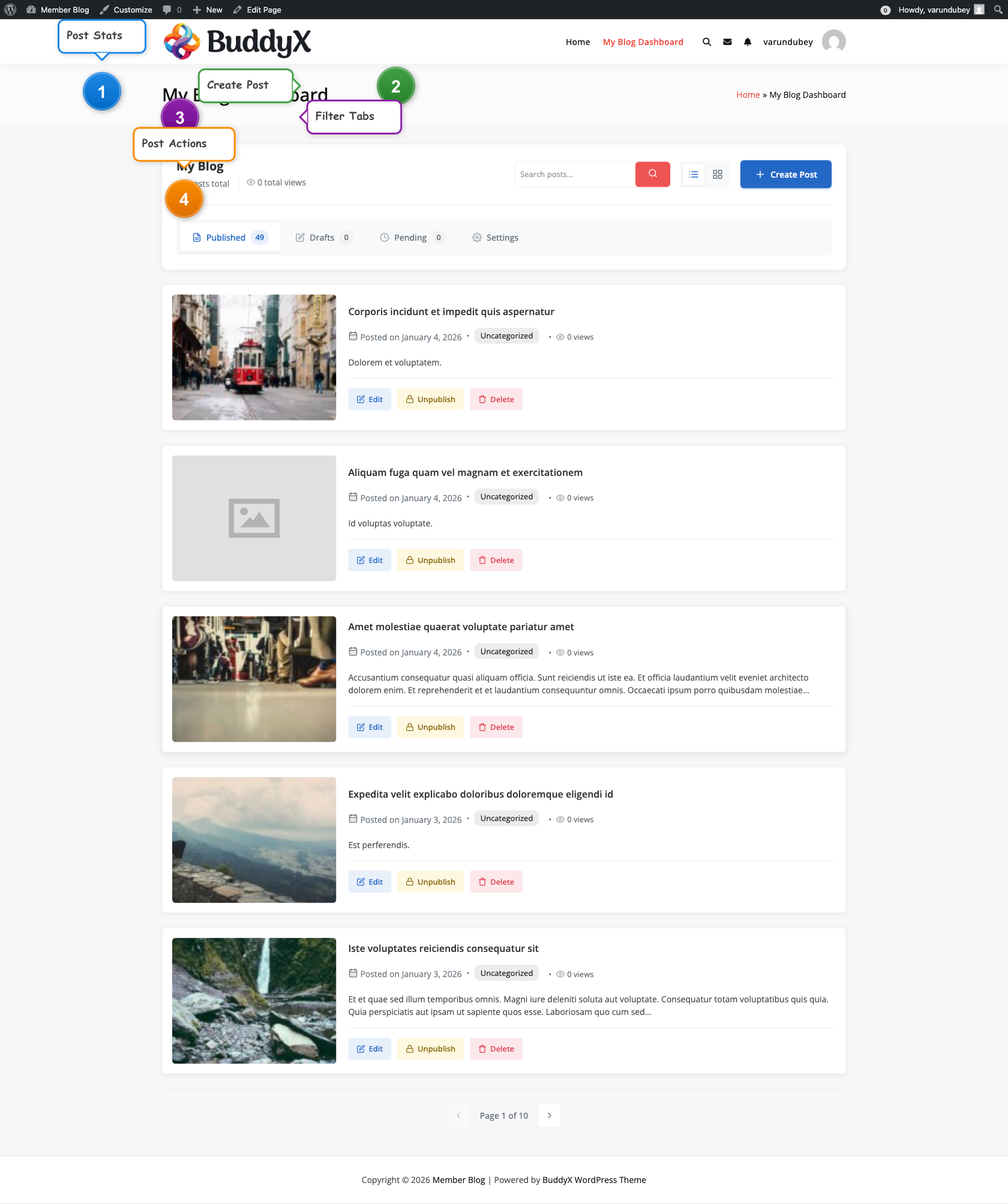 Author Dashboard frontend view